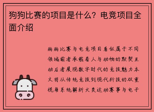 狗狗比赛的项目是什么？电竞项目全面介绍